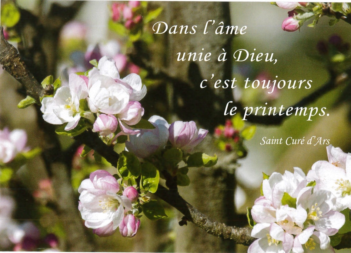 CARTE POSTALE PRINTEMPS - PAQUET DE 10 CARTES