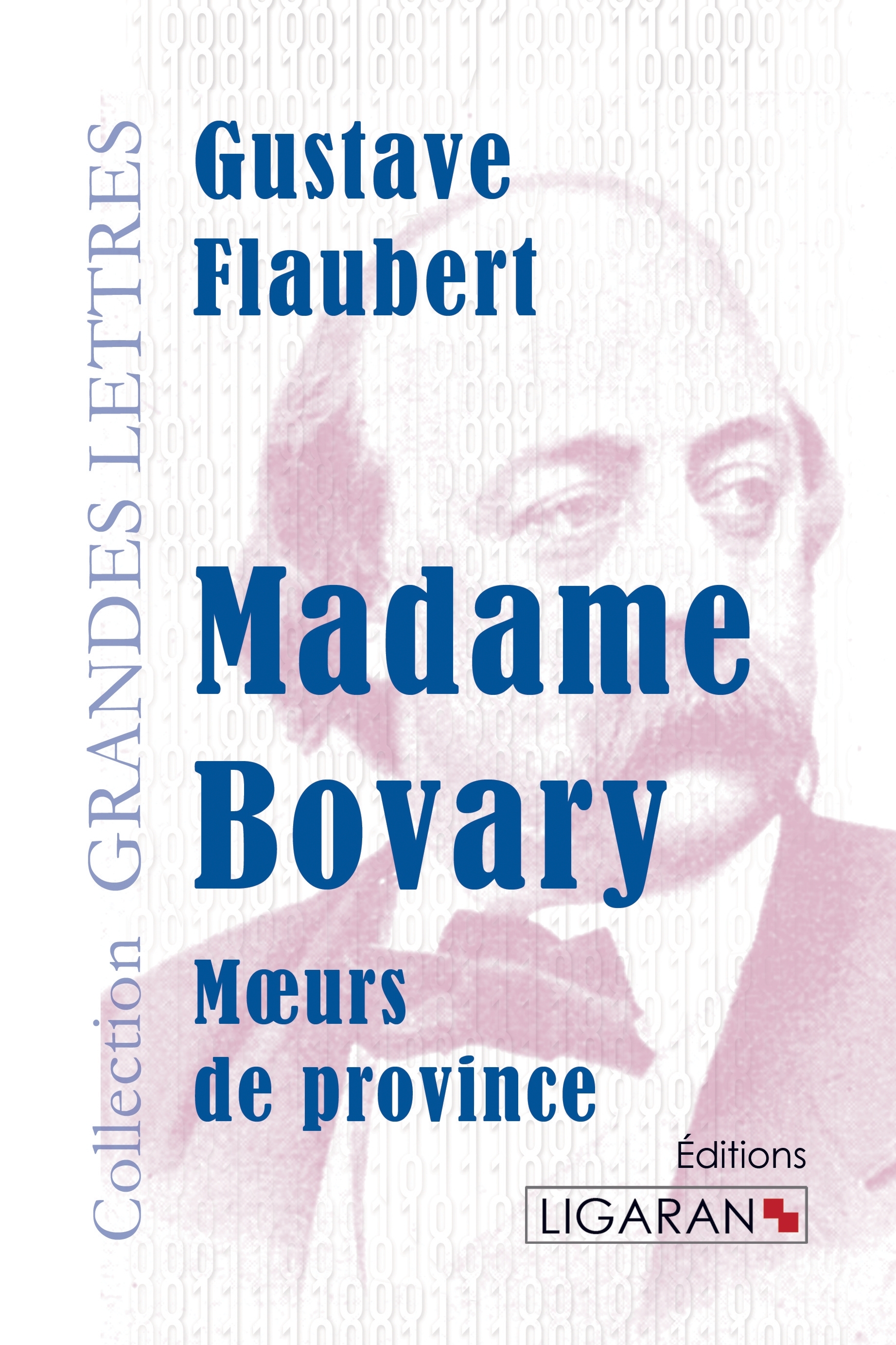 Madame Bovary (grands caractères)