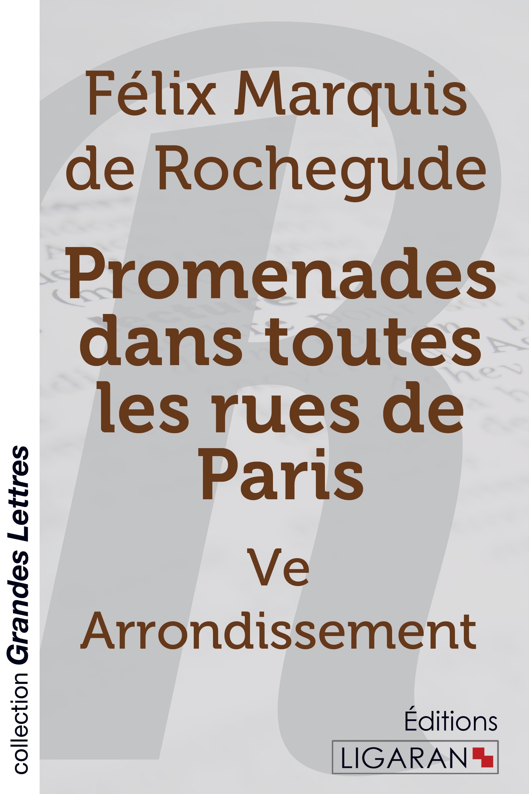 Promenades dans toutes les rues de Paris (grands caractères)