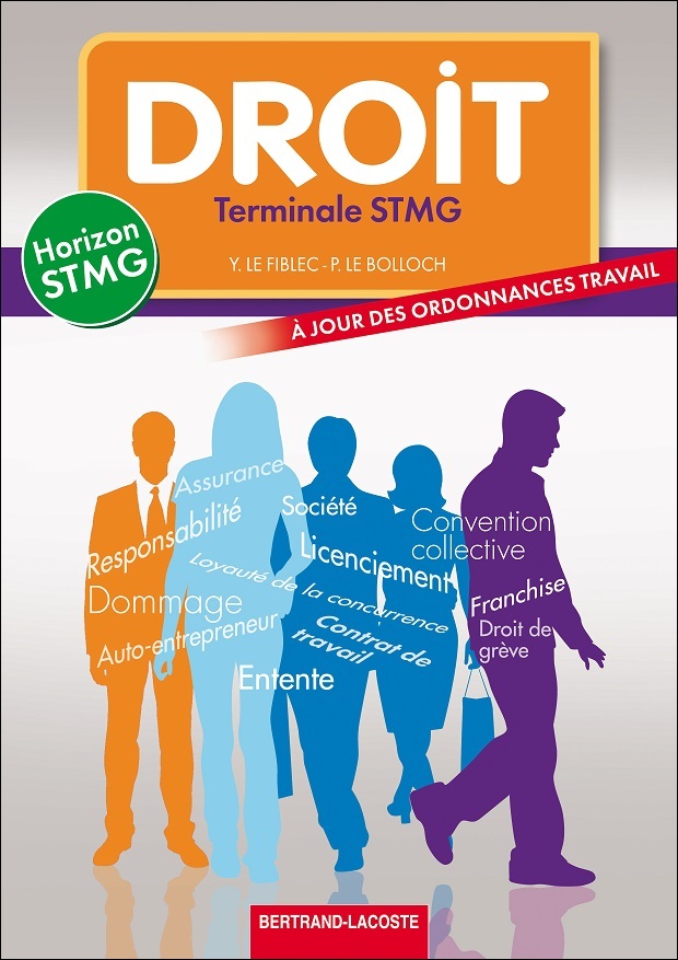 HORIZON STMG DROIT TERMINALE STMG