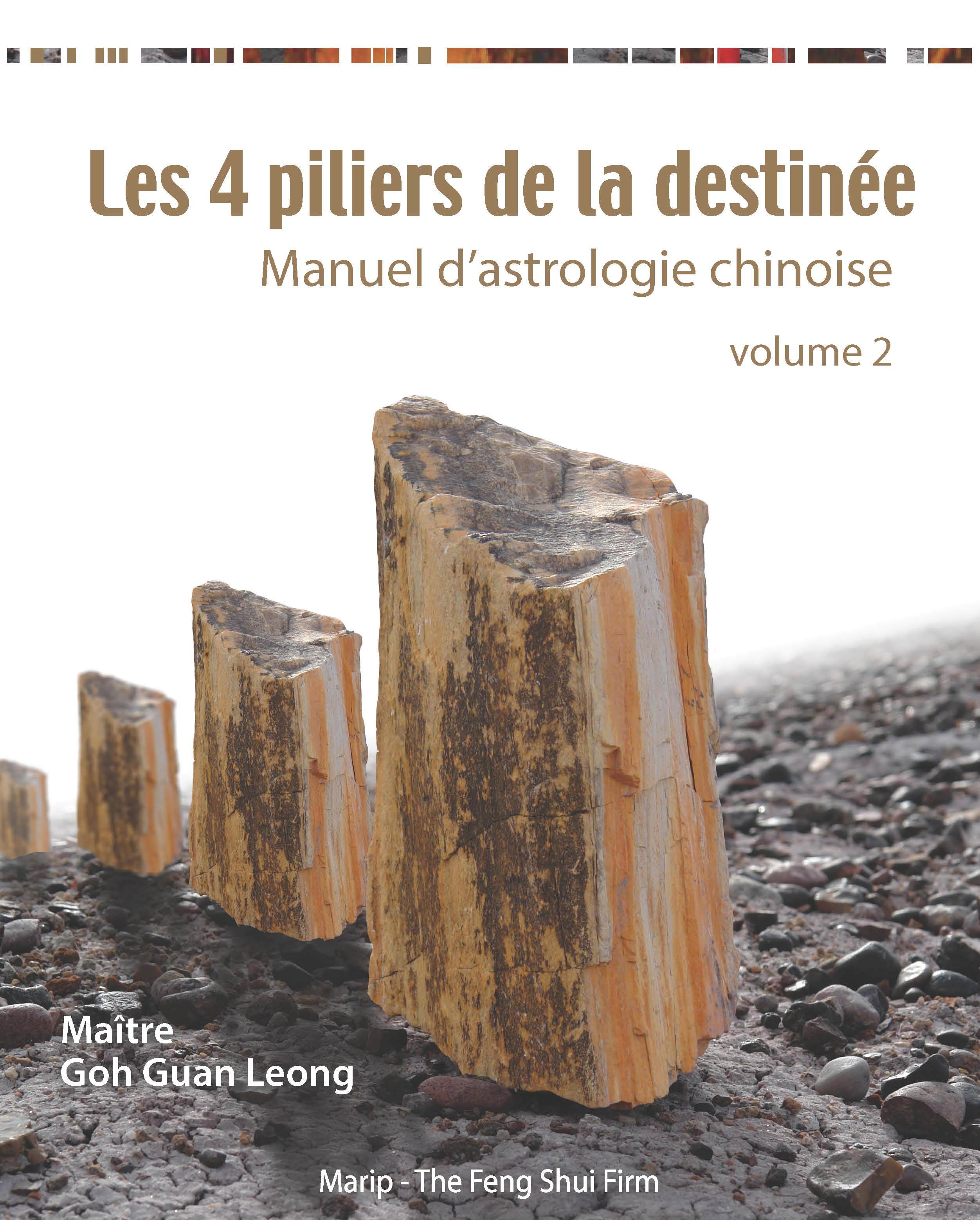 Les 4 piliers de la destinée - Manuel d'astrologie chinoise - volume 2 : les 10 déités