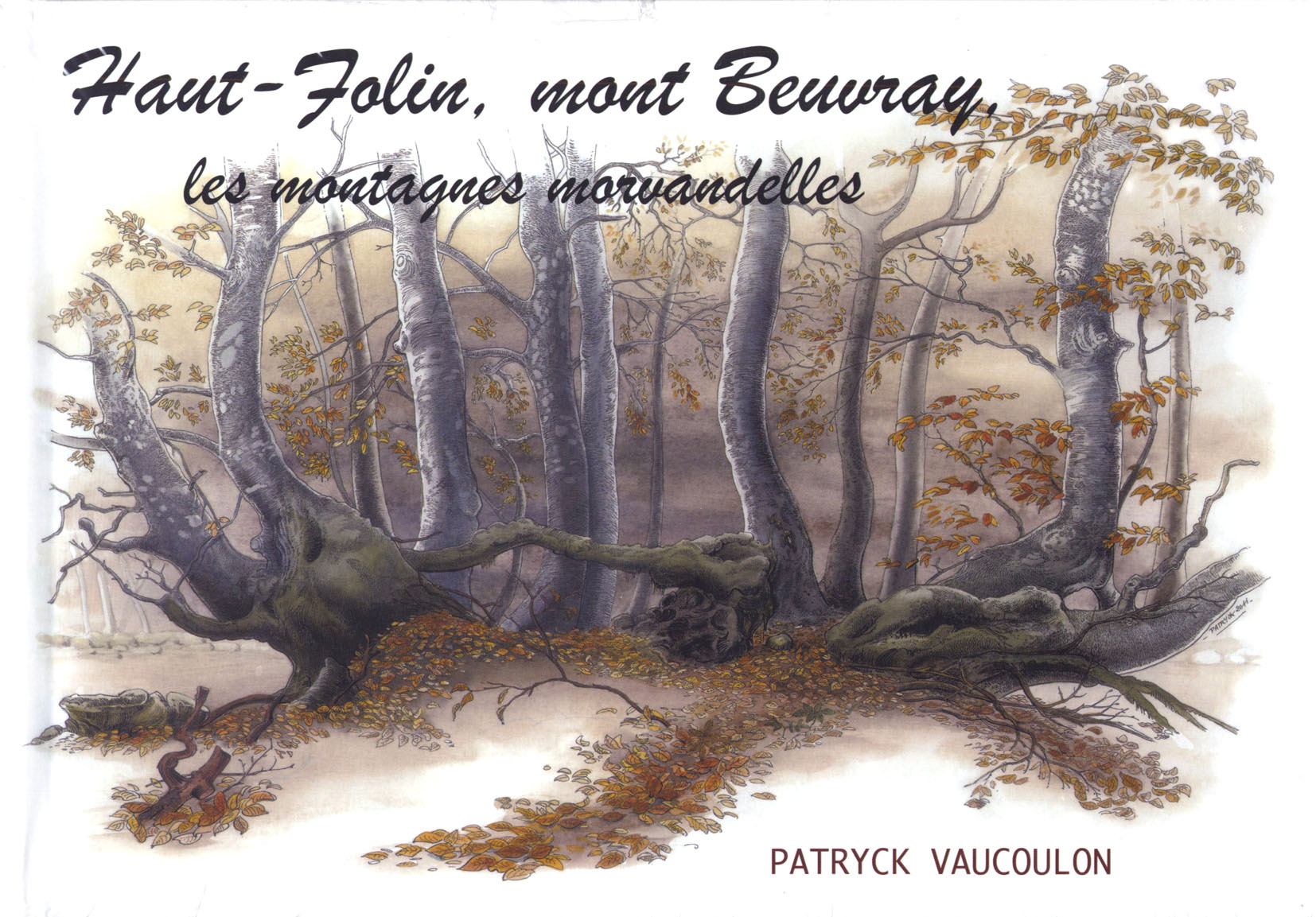 **HAUT-FOLIN MONT BEUVRAY LES MONTAGNES MORVANDELL