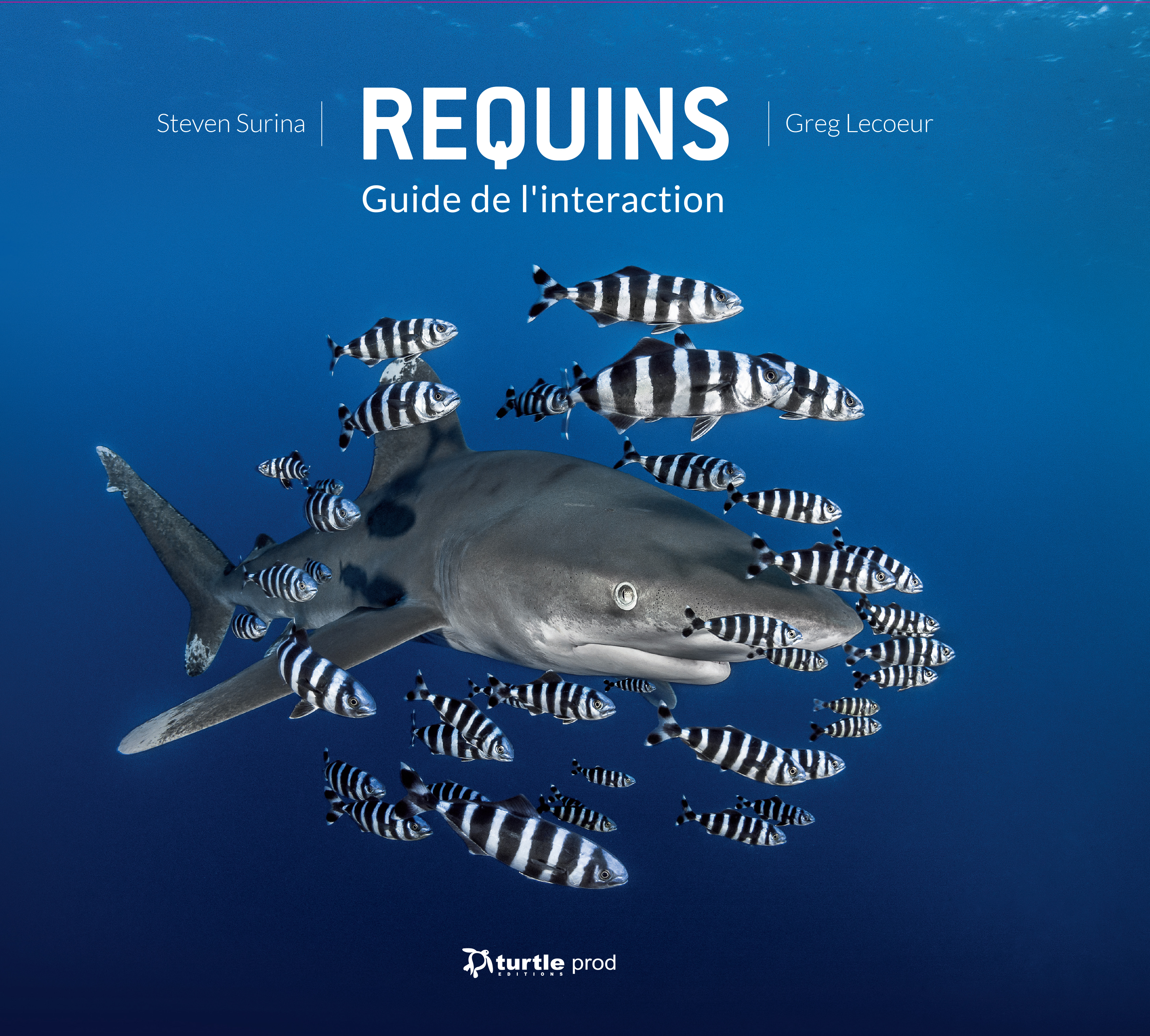 Requins, guide de l'interaction