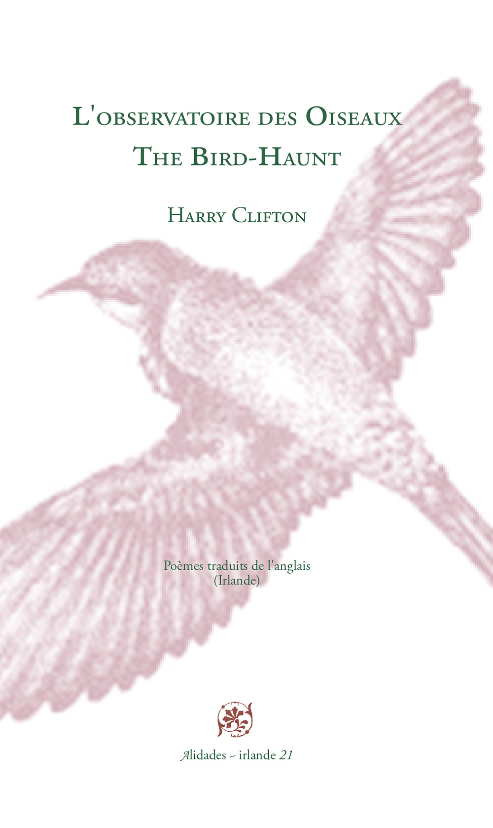 L'observatoire des oiseaux