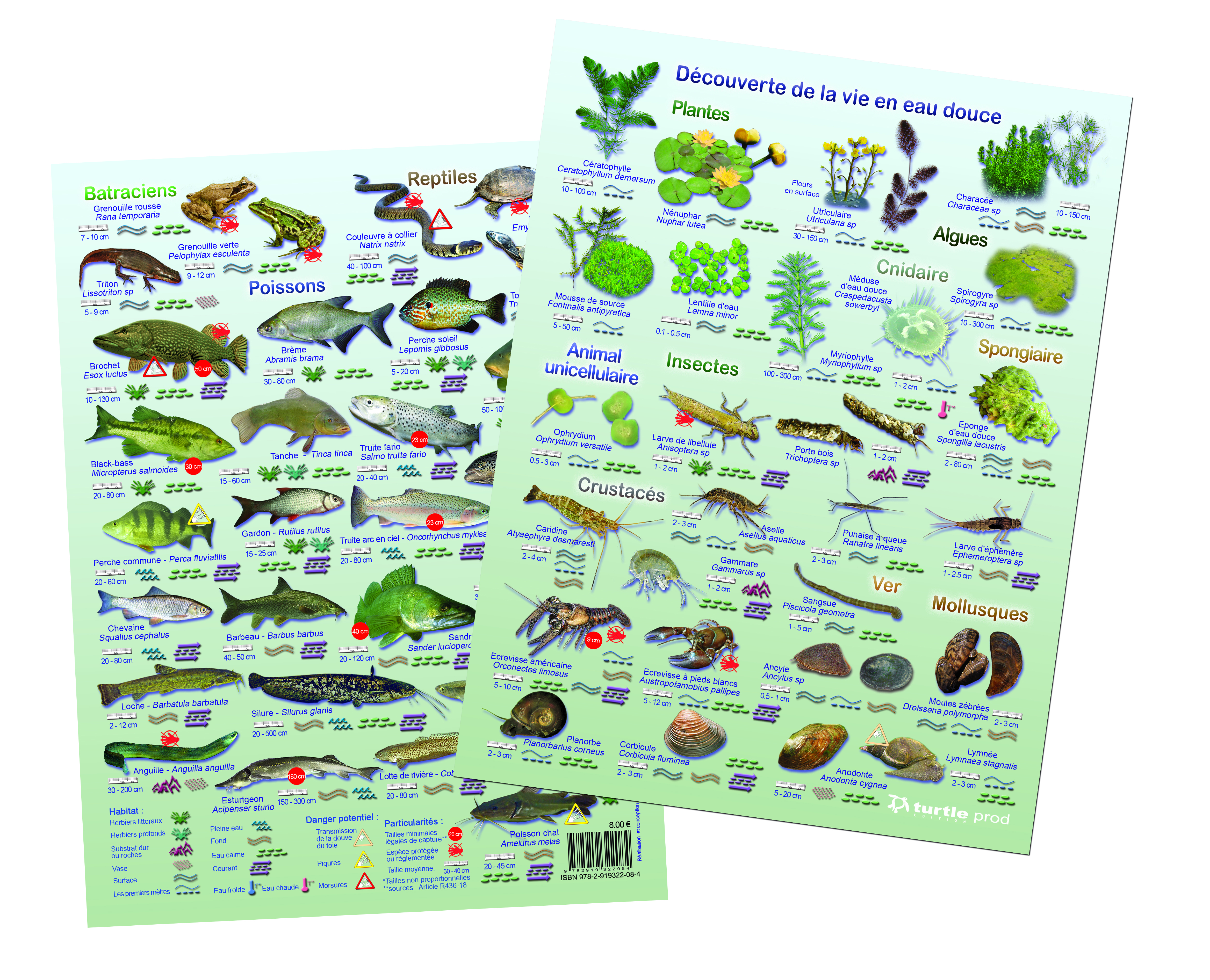 Découverte de la vie en eau douce