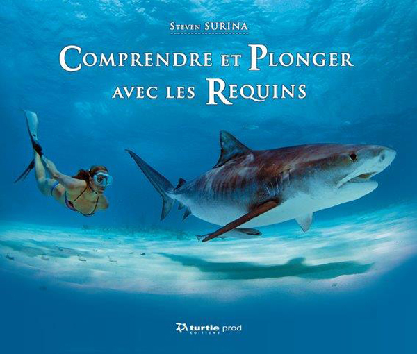 Comprendre et plonger avec les requins