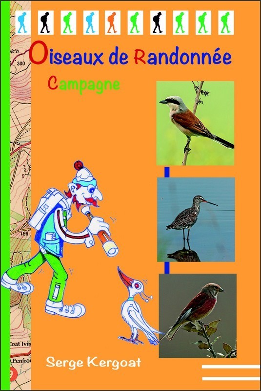 OISEAUX DE RANDONNEE - CAMPAGNE ZONES HUMIDES