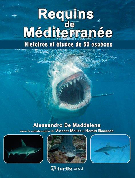 Requinns de Méditerranée