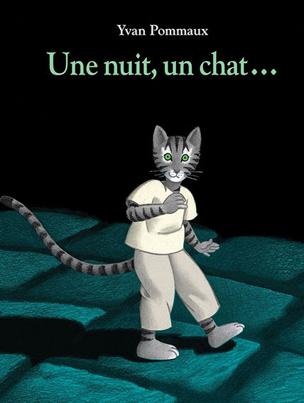Une nuit, un chat...