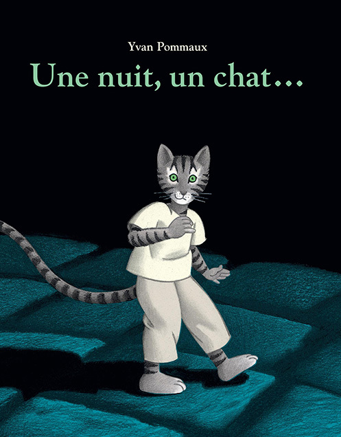 Une nuit, un chat...
