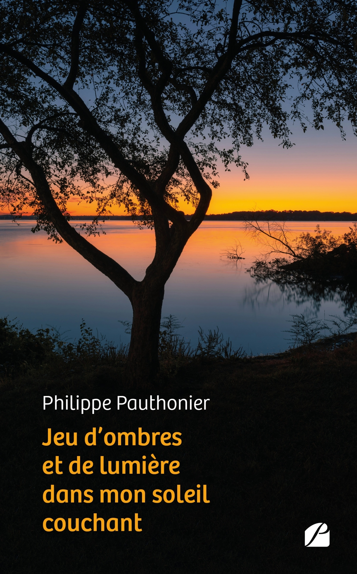 Jeu d'ombres et de lumière dans mon soleil couchant