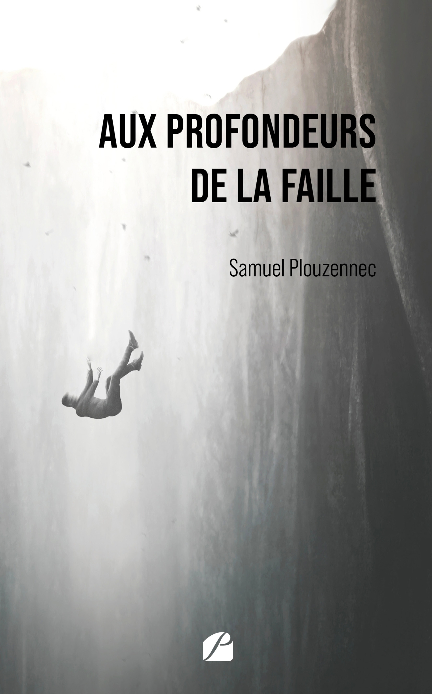 Aux profondeurs de la faille
