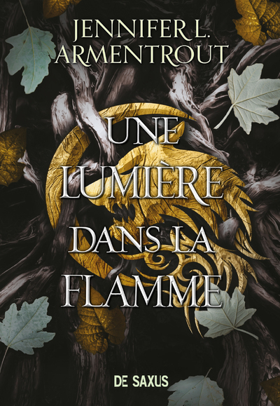 La Chair et le Feu - Tome 02 Une Lumière dans la flamme (broché)