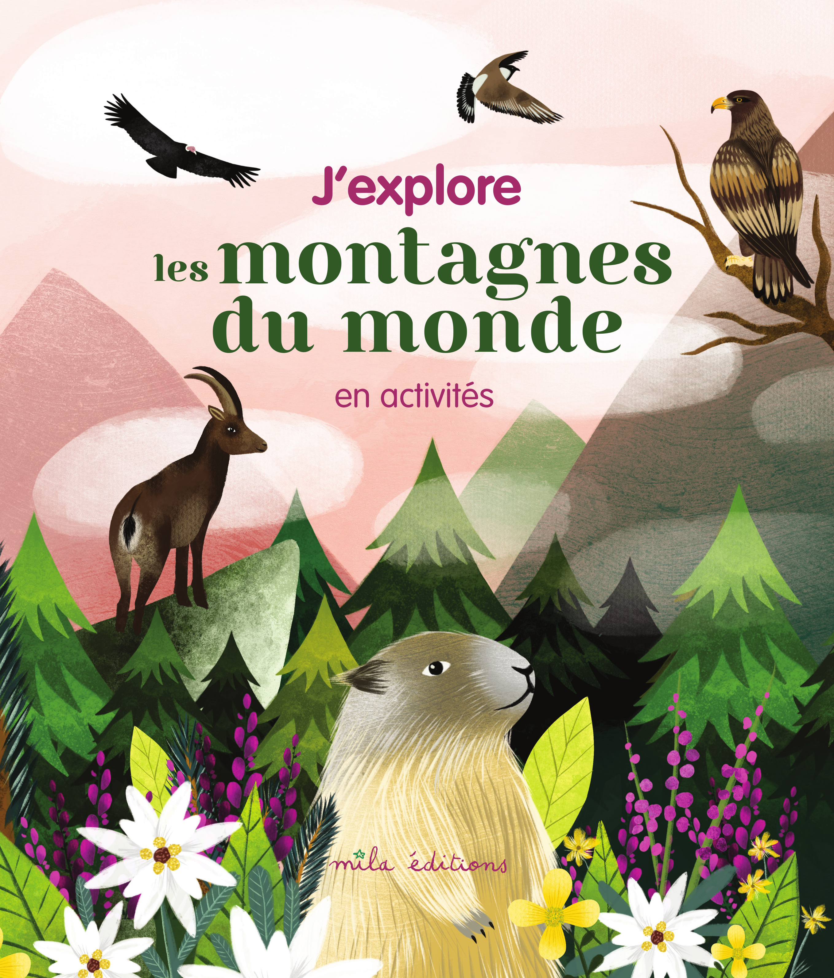 J'explore les montagnes du monde en activités 