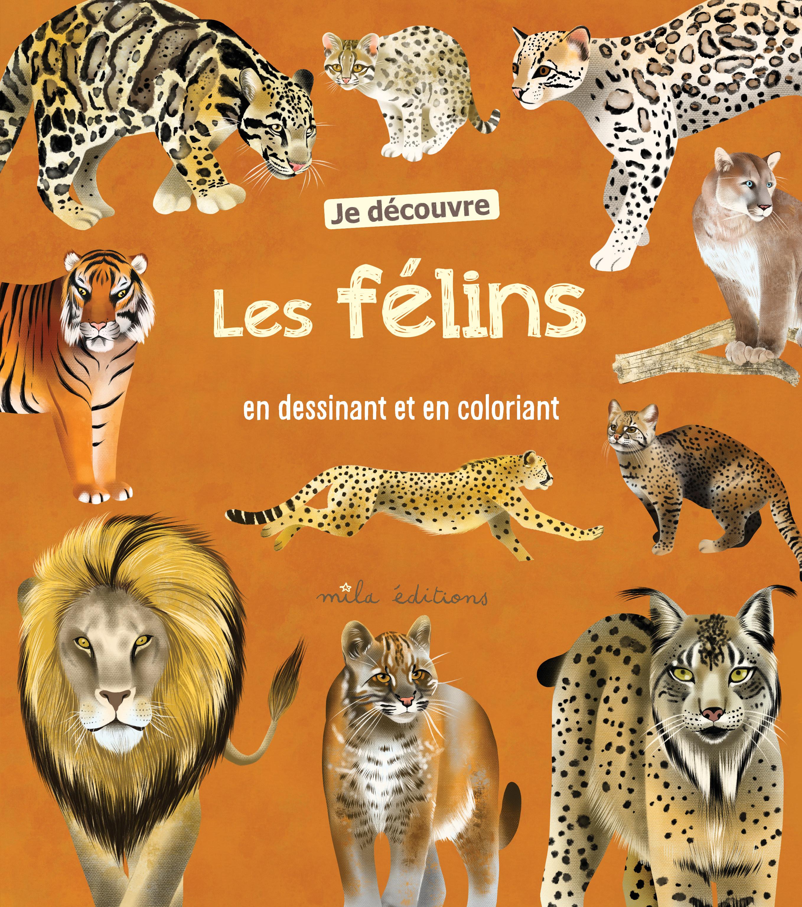 Je découvre les félins en dessinant et en coloriant 