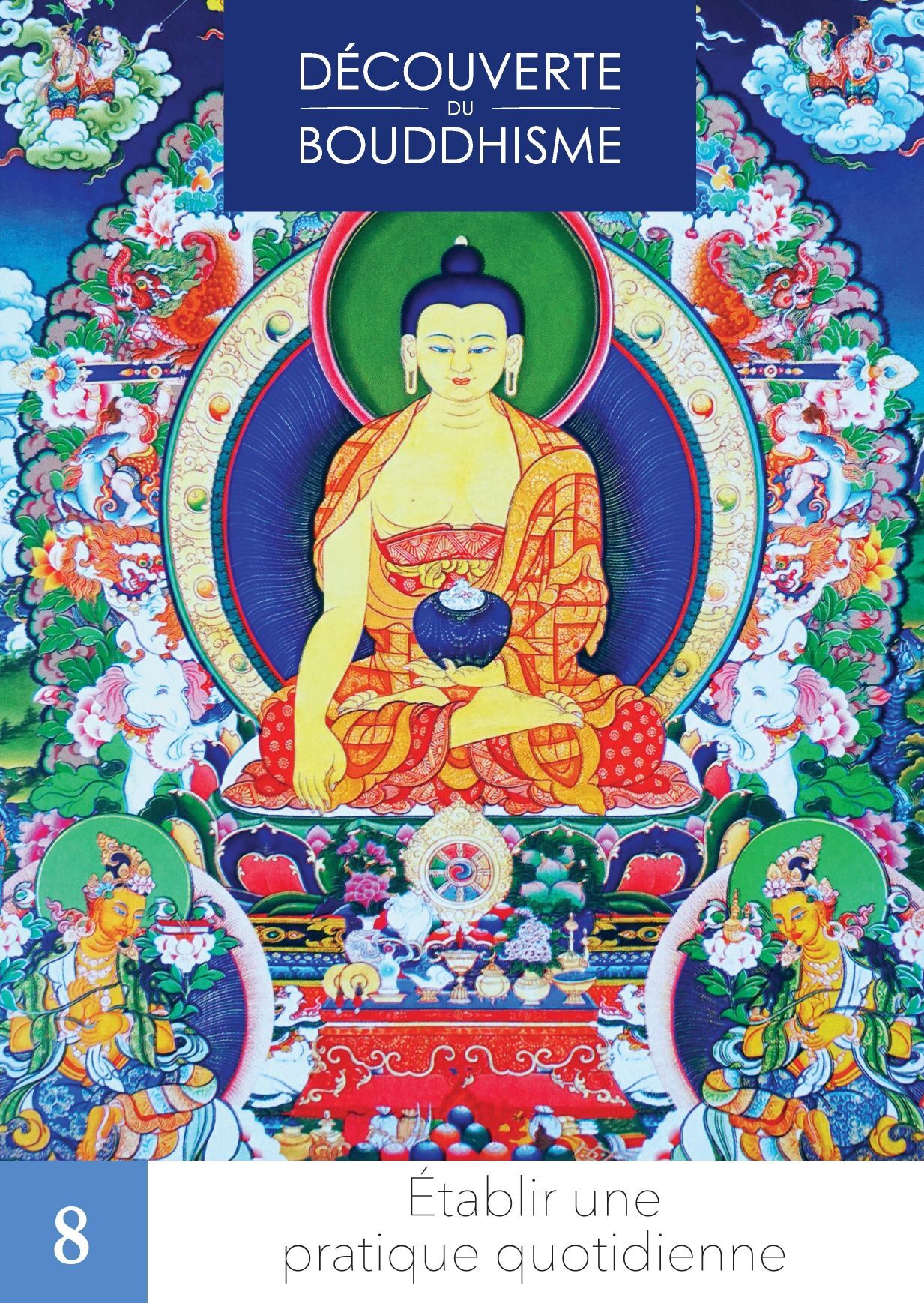Établir une pratique quotidienne Vol 8