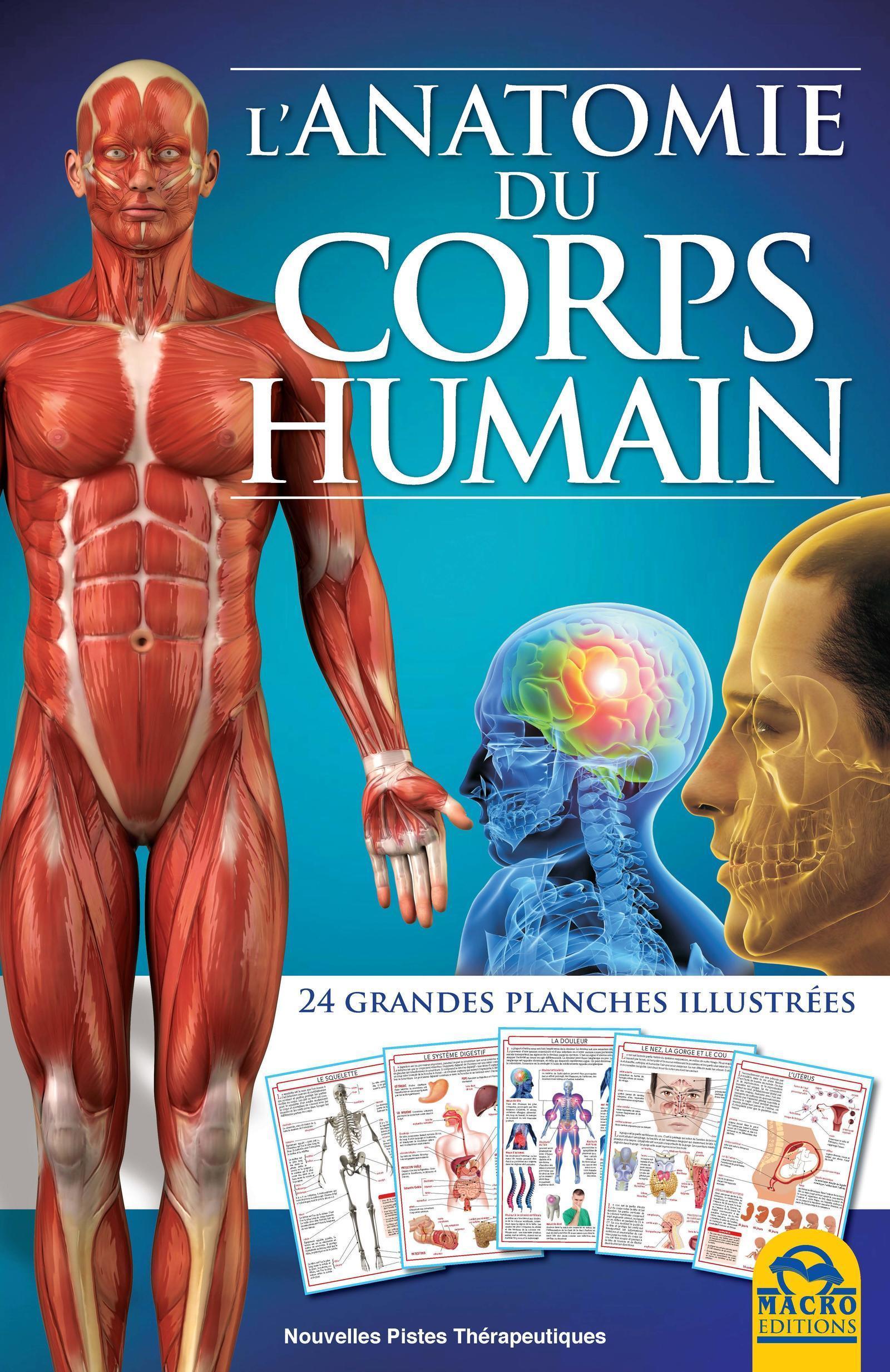 L'anatomie du corps humain