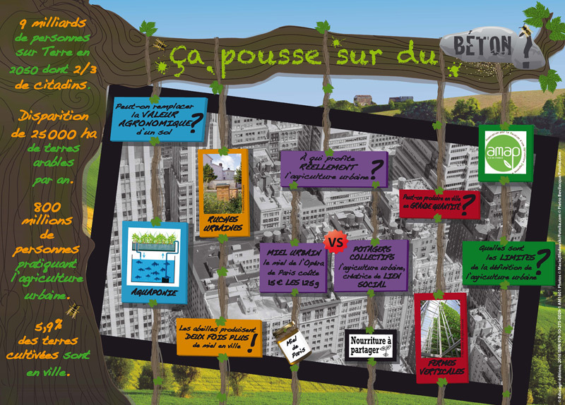 Ça pousse sur du béton ?