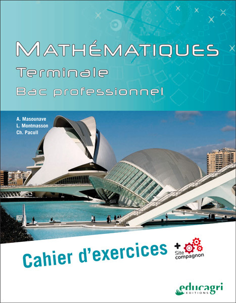 Mathématiques Terminale BAC professionnel : cahier d'exercices