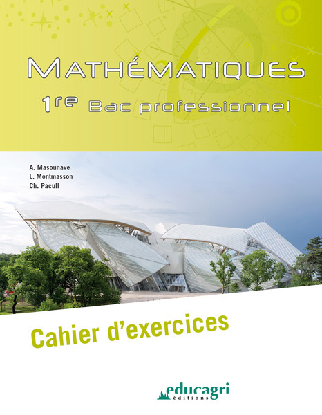 Mathématiques - 1re BAC professionnel : Cahier d'exercices