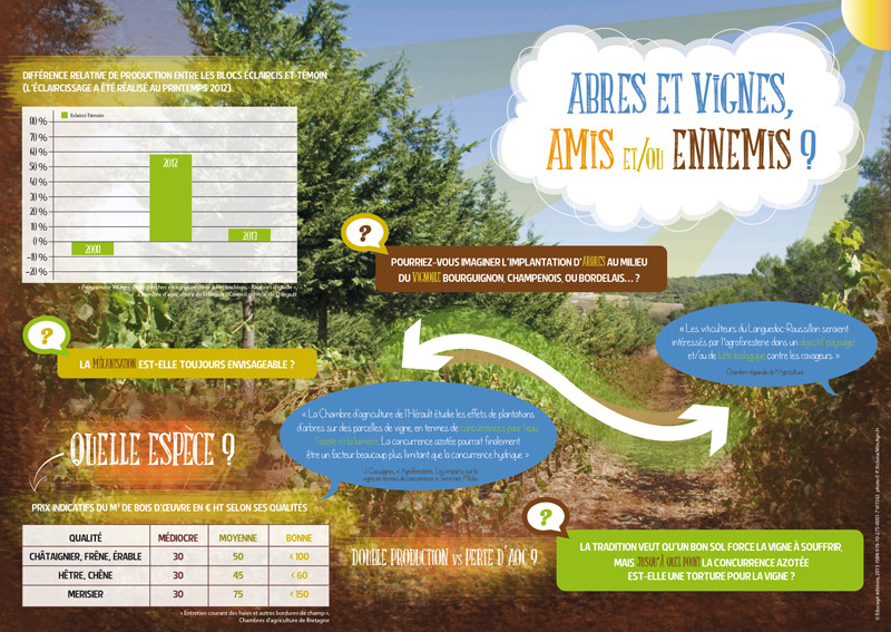 Arbres et vignes : amis ou ennemis ?