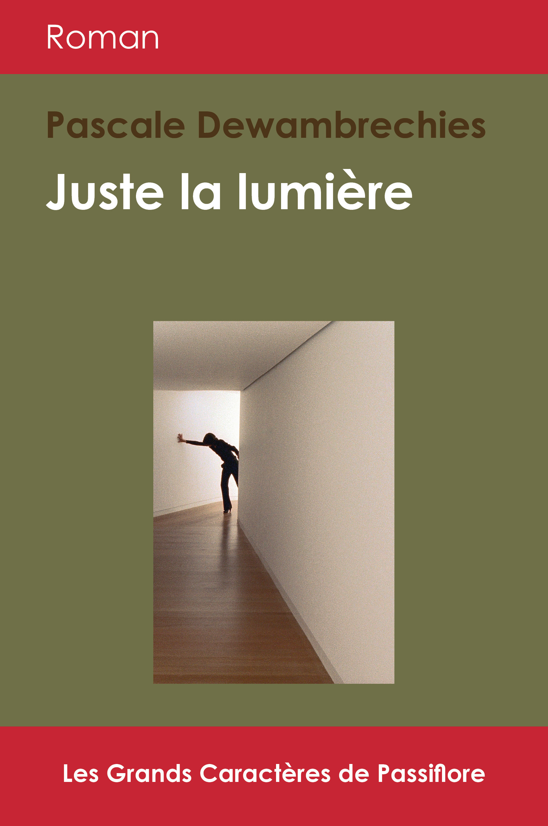 Juste la lumière - roman