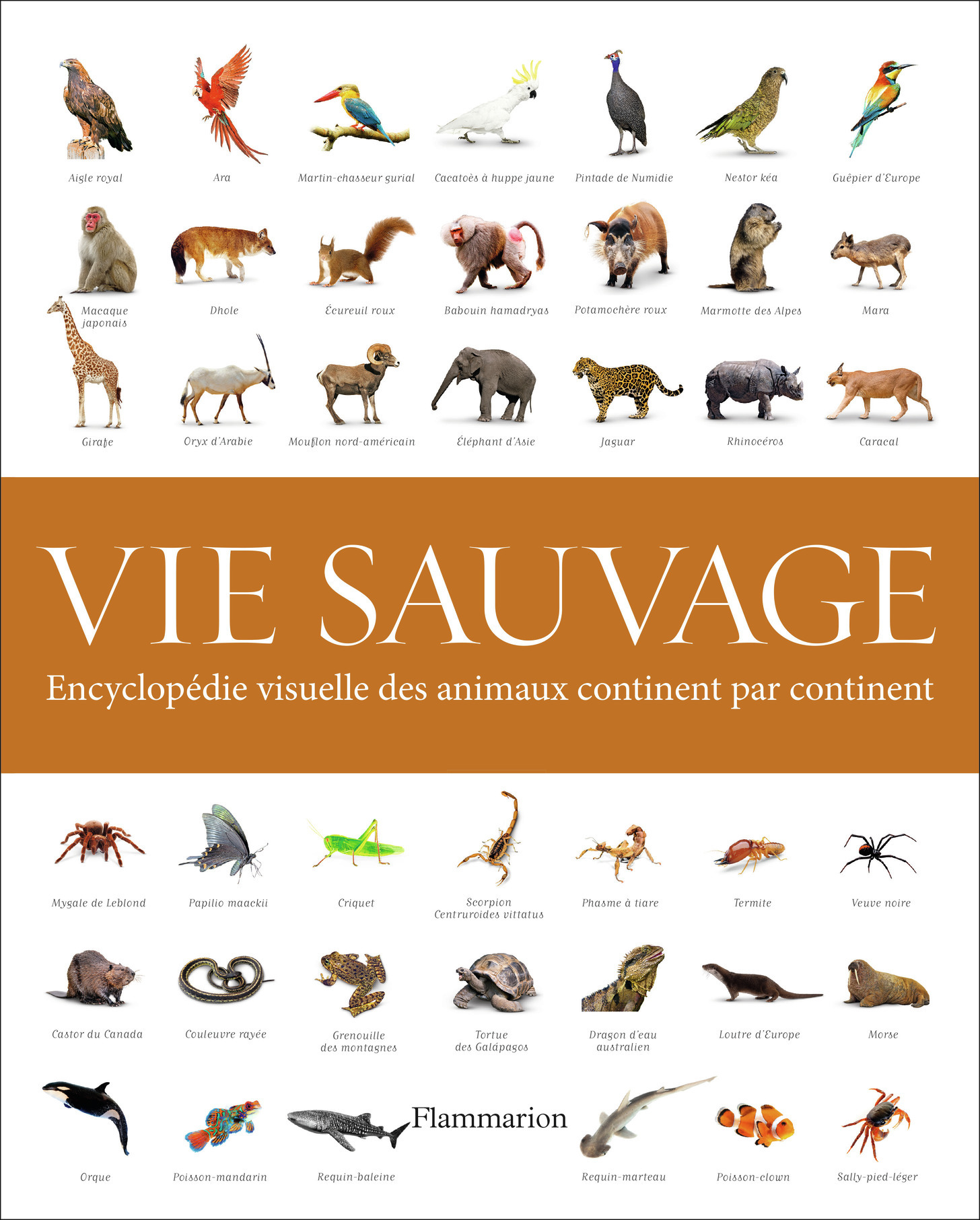 VIE SAUVAGE - L-ENCYCLOPEDIE 1 GRATUIT DEMO