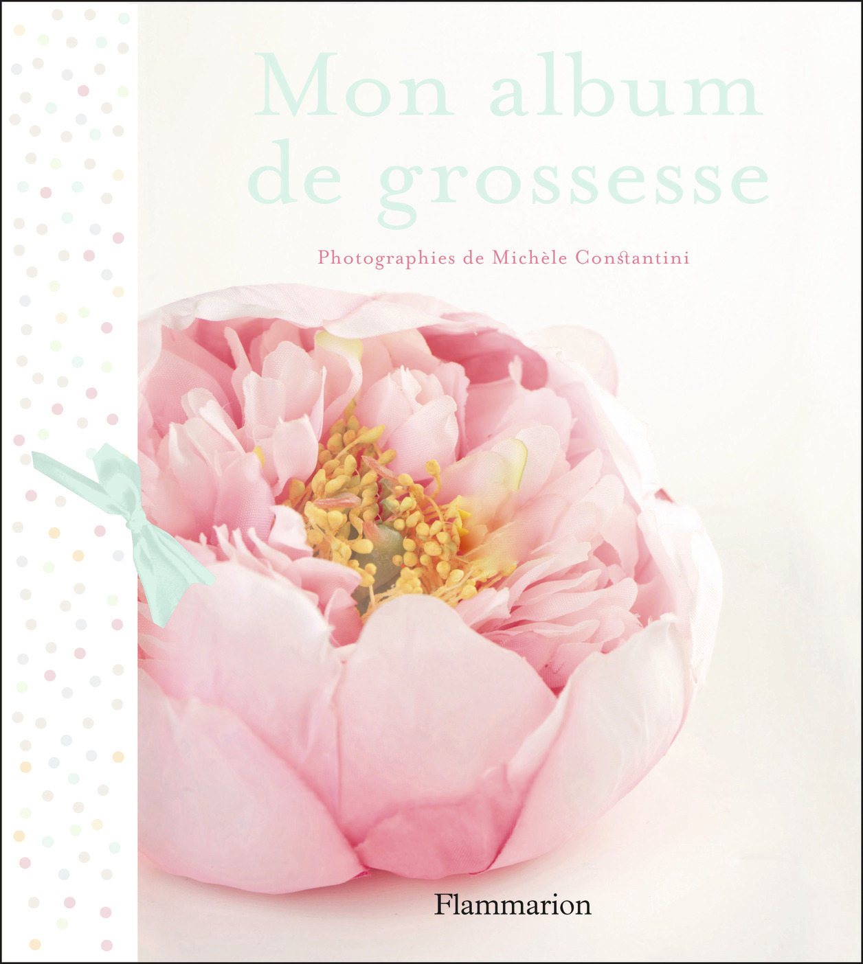 Mon album de grossesse