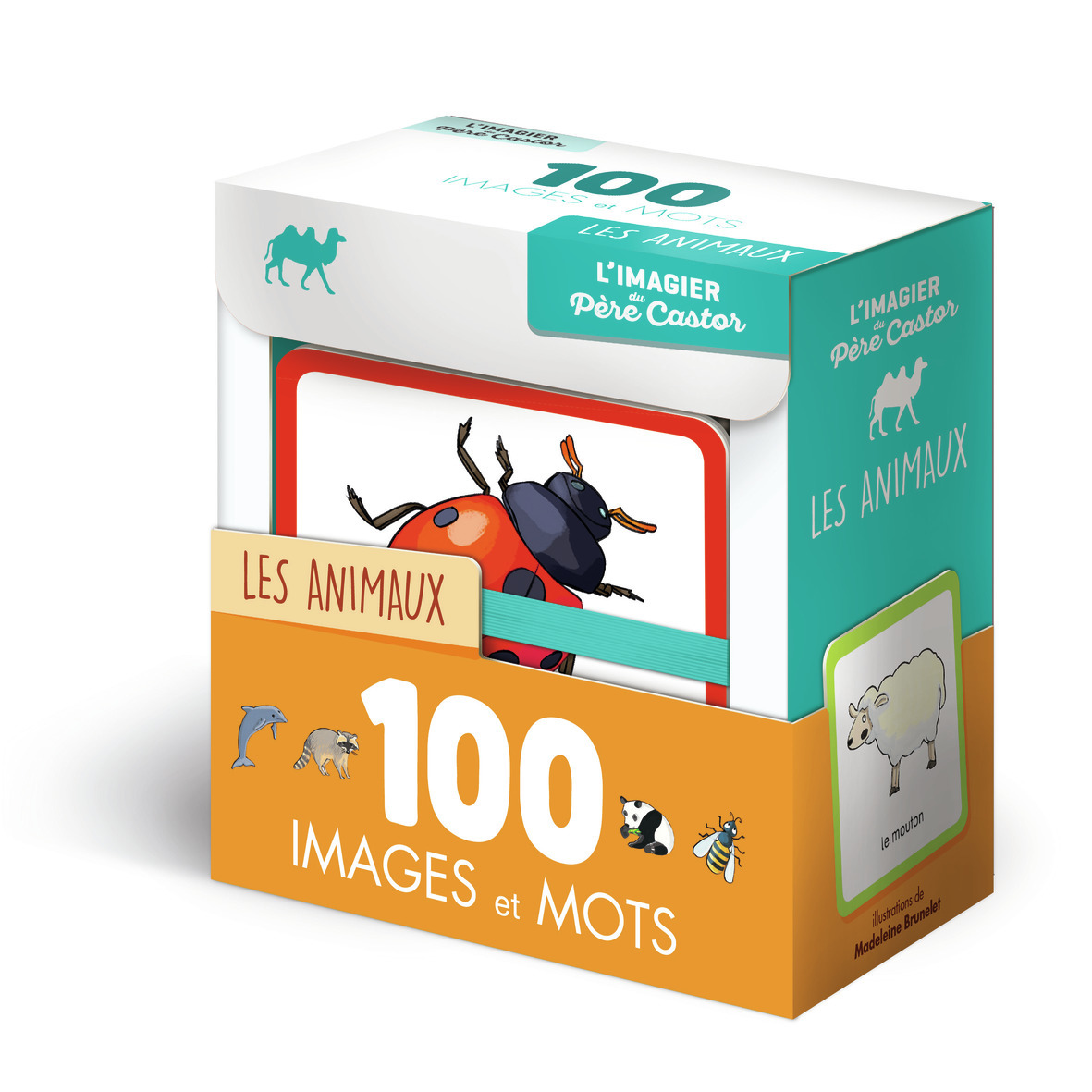 L'imagier du Père Castor en 100 images et mots