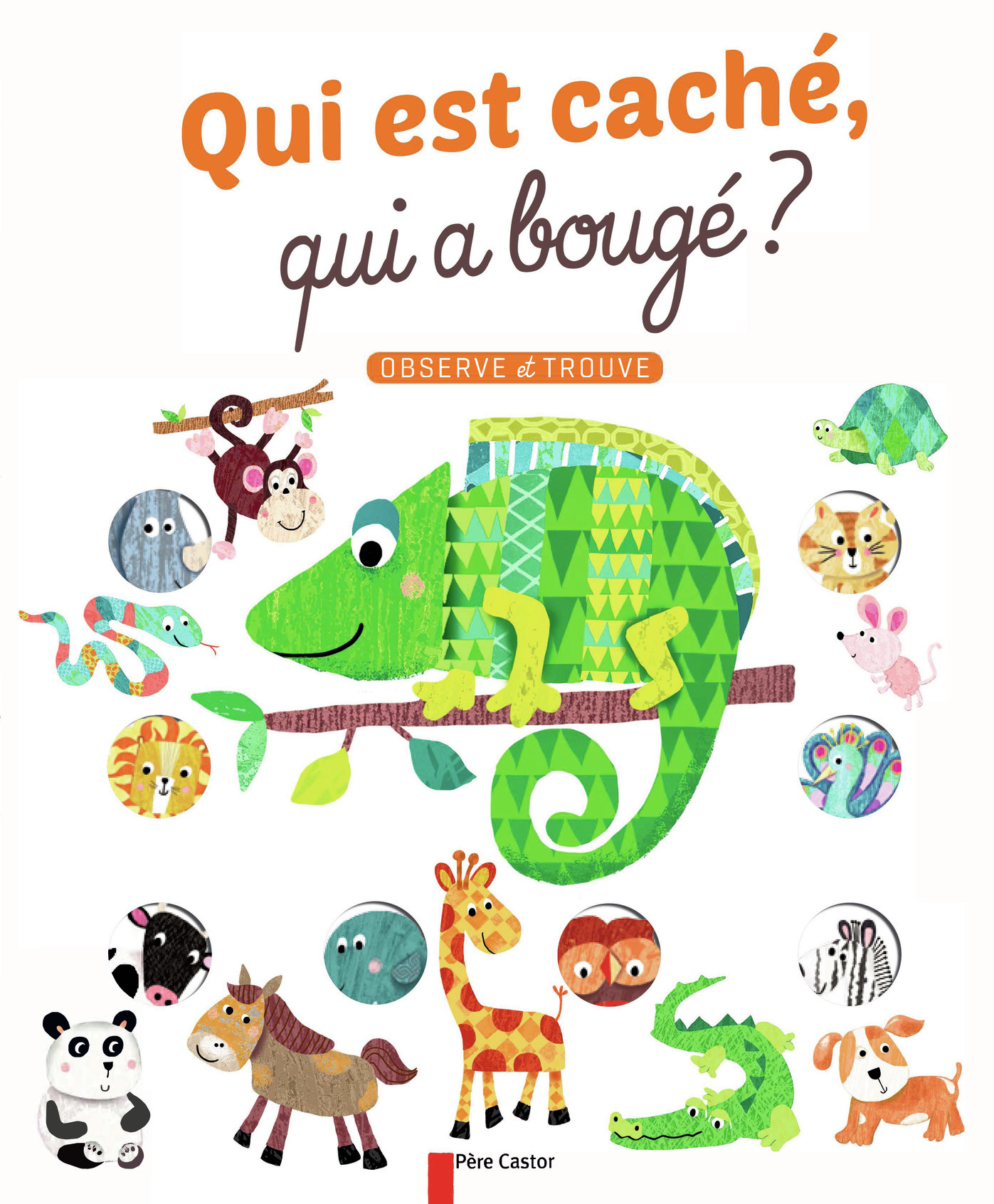 Qui est caché, qui a bougé ?