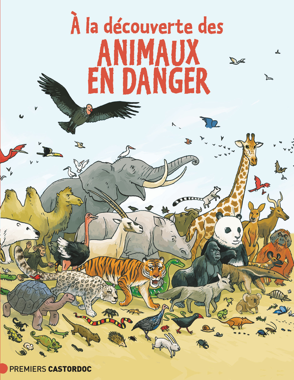 À la découverte des animaux en danger