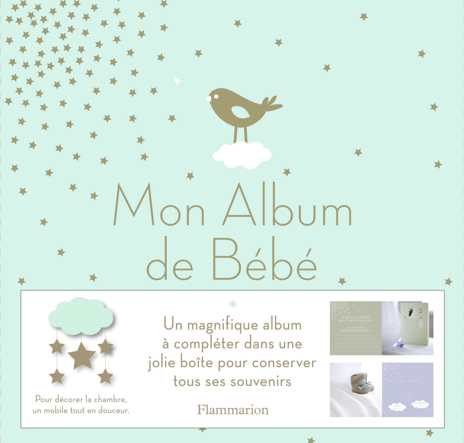 ALBUM DE BEBE (COFFRET)