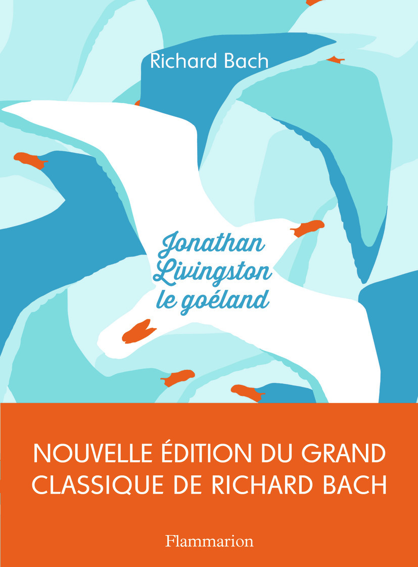 JONATHAN LIVINGSTON LE GOELAND