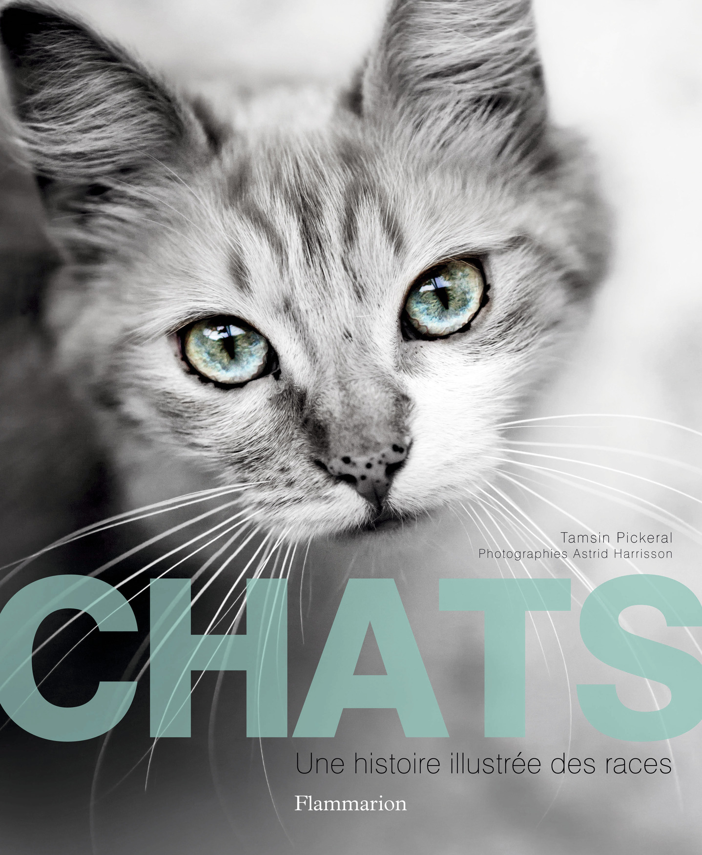 Chats