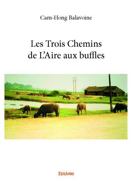 Les trois chemins de l'aire aux buffles
