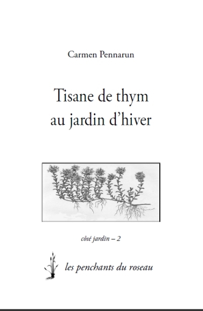 Tisane de thym au jardin d'hiv