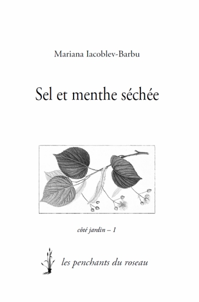 Sel et menthe séchée