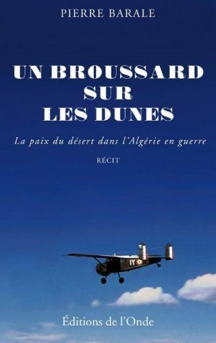 Un broussard sur les dunes - récit