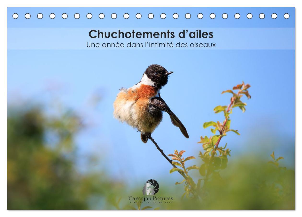 Chuchotements d'ailes - Une année dans l'intimité des oiseaux (Calendrier de bureau 2026 DIN A5 vertical), CALVENDO calendrier mensuel