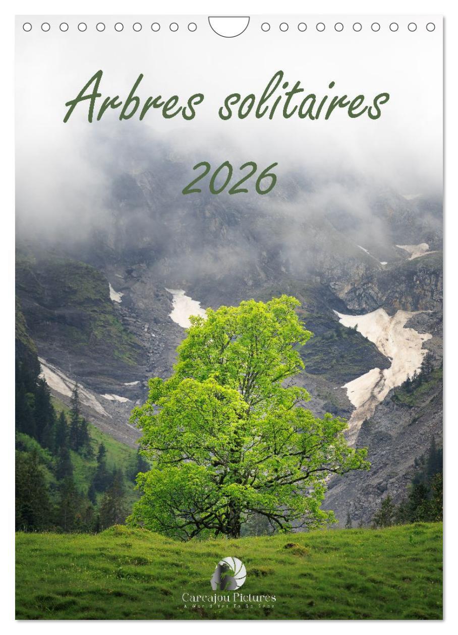 Arbres solitaires (Calendrier mural 2026 DIN A4 horizontal), CALVENDO calendrier mensuel