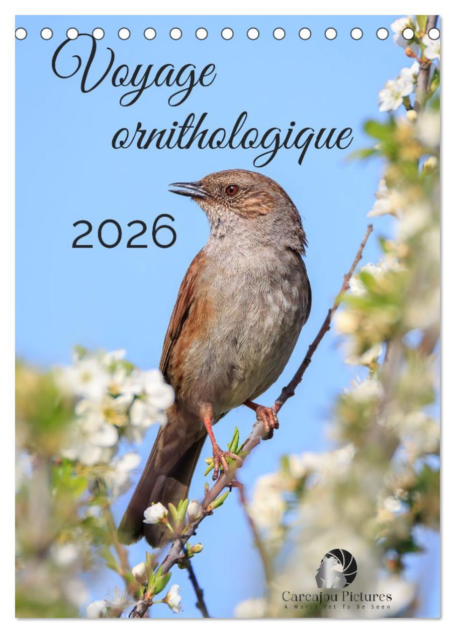 Voyage ornithologique (Calendrier de bureau 2026 DIN A5 horizontal), CALVENDO calendrier mensuel