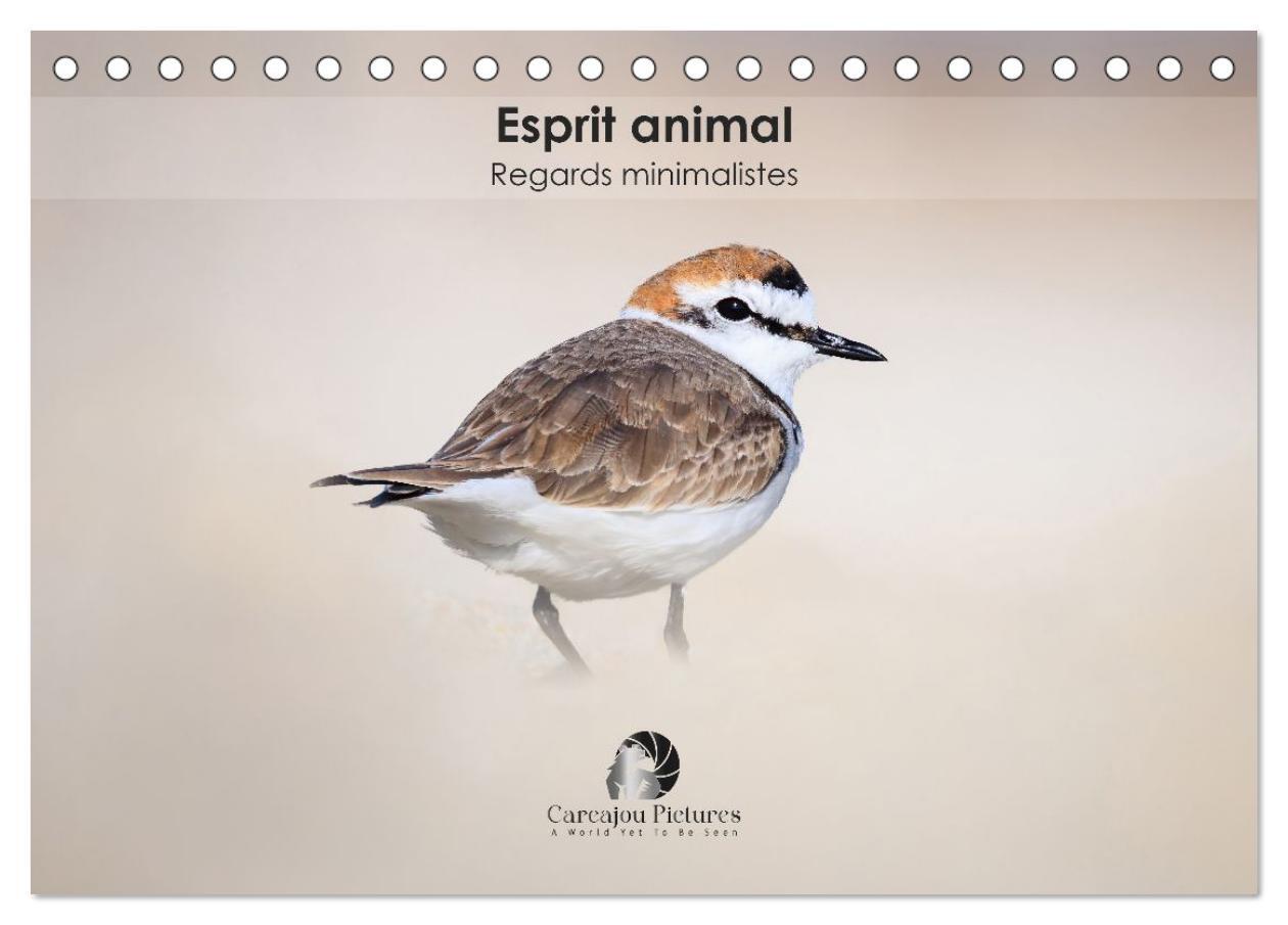 Esprit animal - Regards minimalistes (Calendrier de bureau 2026 DIN A5 vertical), CALVENDO calendrier mensuel