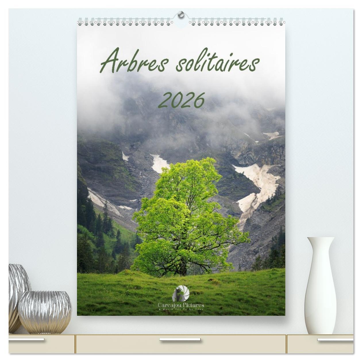 Arbres solitaires  (Calendrier mural 2026 DIN A2 horizontal) calendrier de bureau