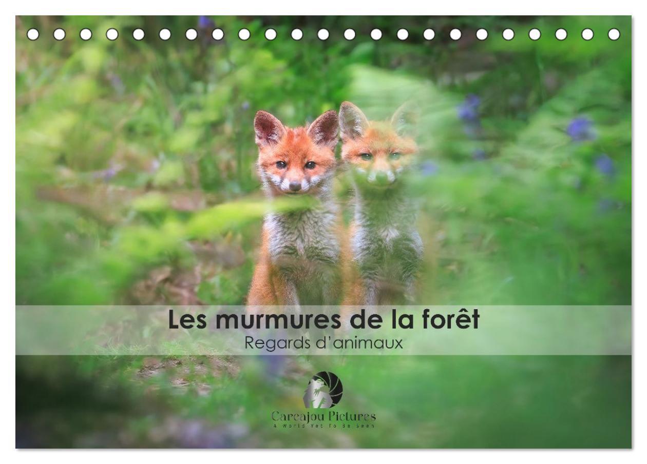 Les murmures de la forêt - Regards d'animaux (Calendrier de bureau 2026 DIN A5 vertical), CALVENDO calendrier mensuel