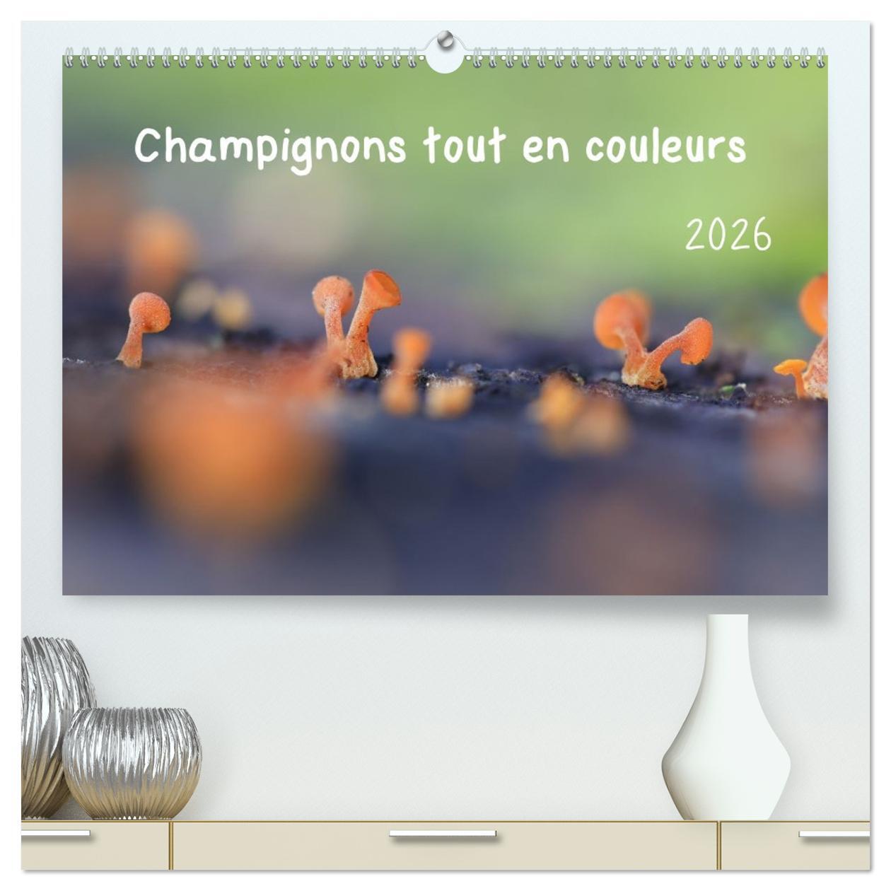 Champignons tout en couleurs  (Calendrier mural 2026 DIN A2 vertical) calendrier de bureau