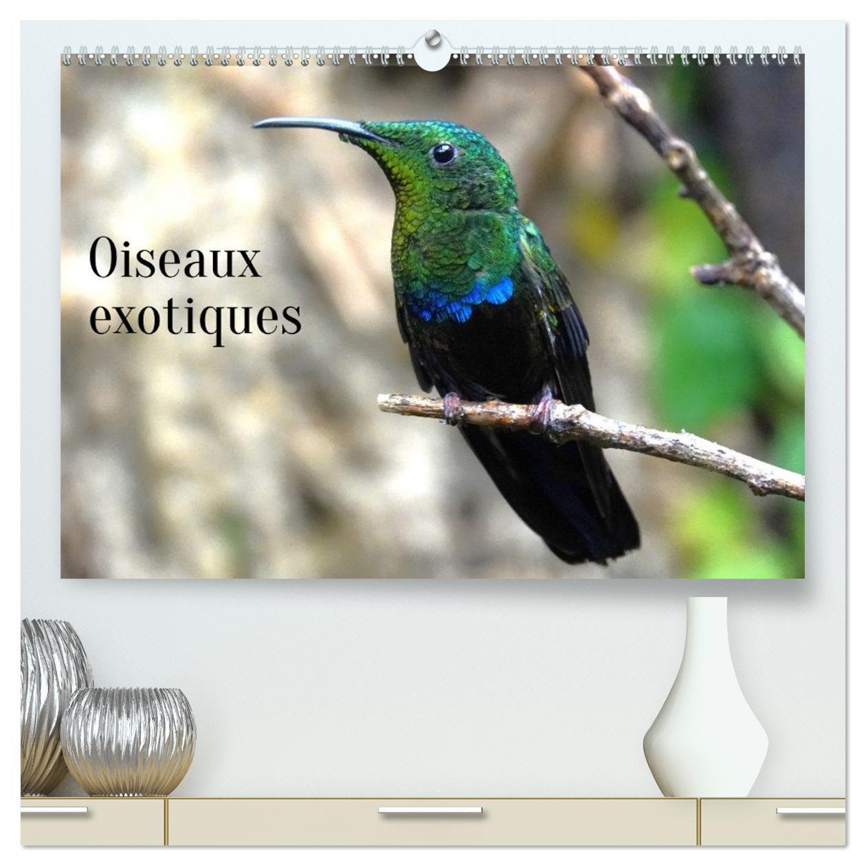 Oiseaux exotiques  (Calendrier mural 2026 DIN A2 vertical) calendrier de bureau