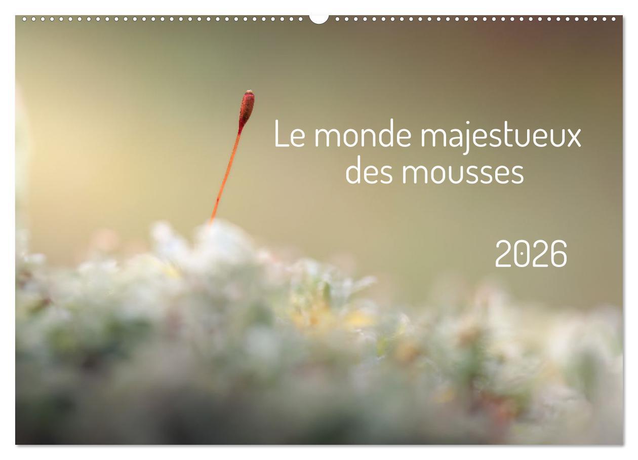 Le monde majestueux des mousses (Calendrier mural 2026 DIN A2 vertical), CALVENDO calendrier mensuel