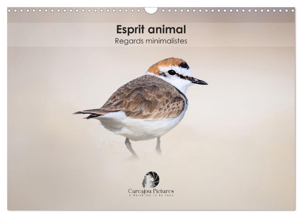 Esprit animal - Regards minimalistes (Calendrier mural 2026 DIN A3 vertical), CALVENDO calendrier mensuel