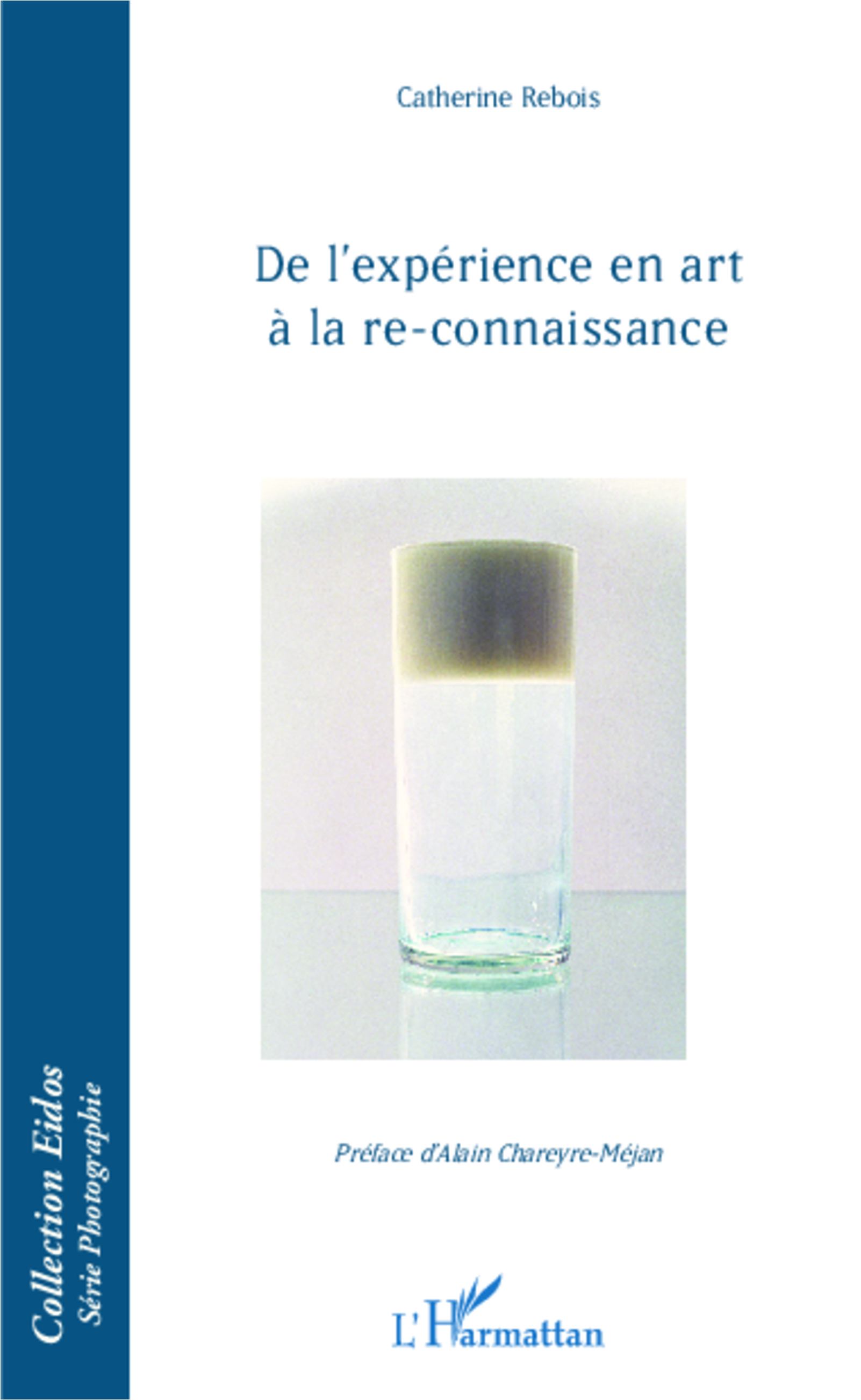 De l'expérience en art à la re-connaissance