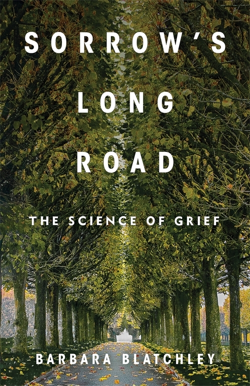 Sorrow's Long Road